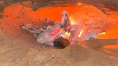 ضبط مخالفات بيئية بالمدينة المنورة ومحمية الملك عبدالعزيز