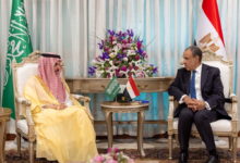 وزير الخارجية السعودي والمصري يبحثان استقرار المنطقة