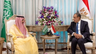 وزير الخارجية السعودي والمصري يبحثان استقرار المنطقة