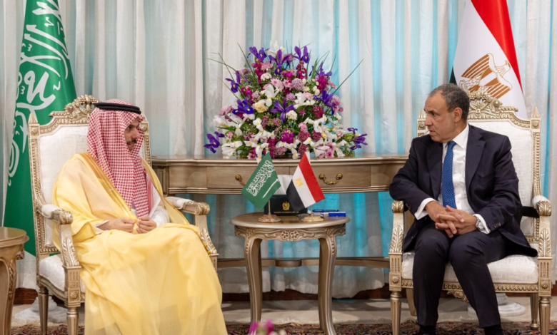 وزير الخارجية السعودي والمصري يبحثان استقرار المنطقة