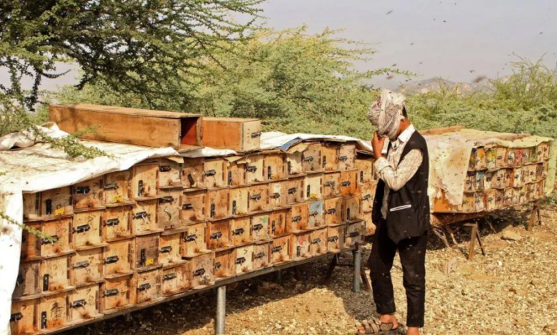 مبيدات زراعية قاتلة بأسماء جذابة تهدد الأمن الغذائي اليمني