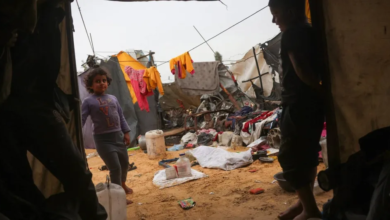 مباحثات ملادينوف وحماس في القاهرة بشأن نزع السلاح