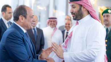 الخارجية المصرية: العلاقات المصرية الخليجية راسخة وصلبة