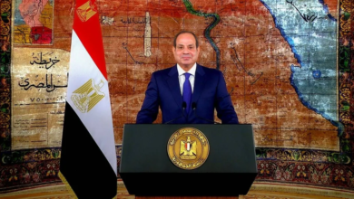 السيسي: مصر تدعم الحقوق العربية بلا مهادنة | تحليل الموقف