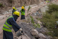 إصلاح الطرق في اليمن: إنعاش الاقتصاد وتعزيز التنمية الريفية