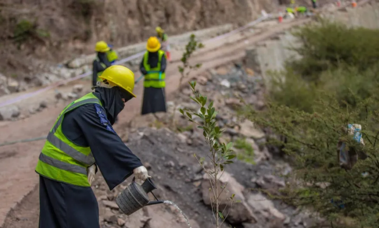 إصلاح الطرق في اليمن: إنعاش الاقتصاد وتعزيز التنمية الريفية