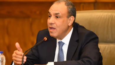 مصر وأمن الخليج: التزام راسخ وشراكة استراتيجية متجددة