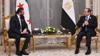 العلاقات المصرية السورية: آفاق التقارب ودور القاهرة الإقليمي