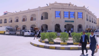 دعم سعودي لتطوير الجامعات اليمنية | رؤية مستقبلية للتعليم