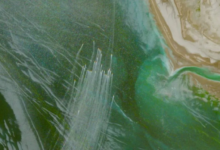 التكامل البحري الخليجي وأمن مضيق هرمز الاستراتيجي