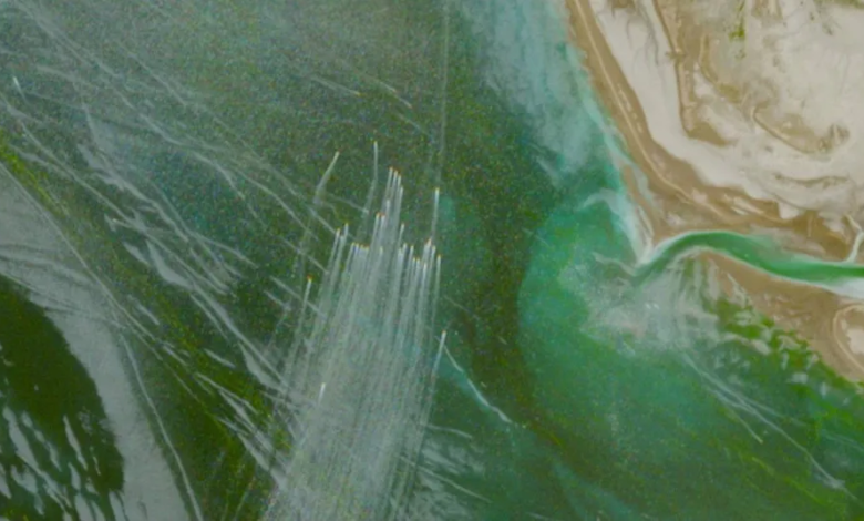 التكامل البحري الخليجي وأمن مضيق هرمز الاستراتيجي