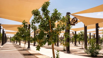 زراعة 60 ألف شجرة بالمشاعر المقدسة لراحة الحجاج