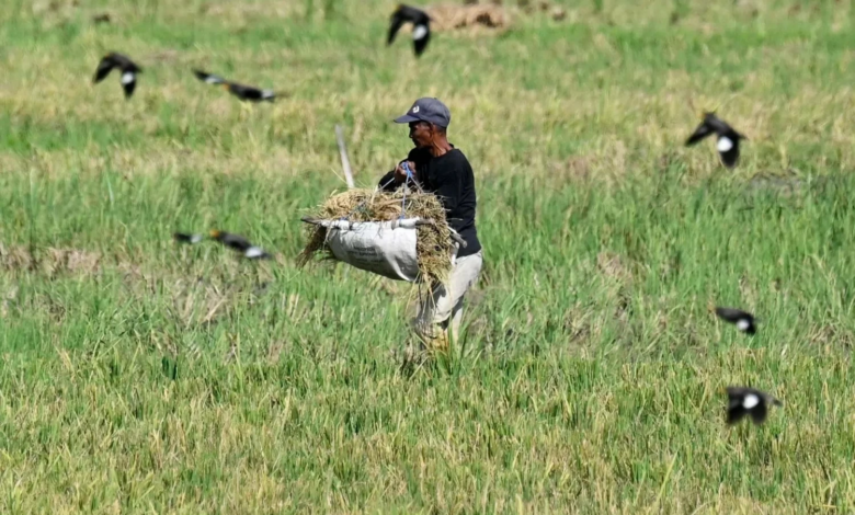 ارتفاع أسعار الغذاء عالميًا بسبب توترات الشرق الأوسط