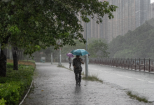 أمطار الباحة اليوم: عواصف رعدية وضباب يغطي المنطقة