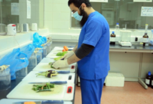 بدء تخصيص مختبرات سلامة الغذاء في 5 أمانات سعودية