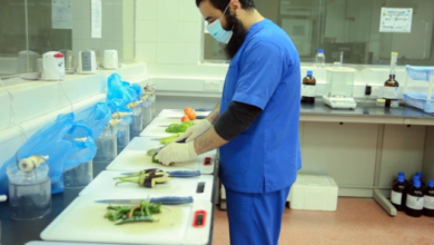 بدء تخصيص مختبرات سلامة الغذاء في 5 أمانات سعودية