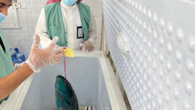 تكثيف الرقابة برابغ تزامناً مع حظر صيد الناجل والطرادي