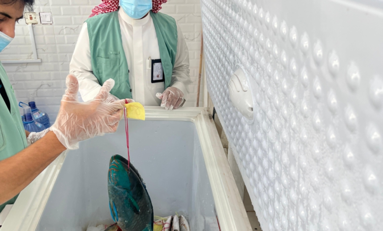 تكثيف الرقابة برابغ تزامناً مع حظر صيد الناجل والطرادي