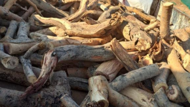 القوات الخاصة للأمن البيئي تضبط مخالفين في الرياض والمدينة