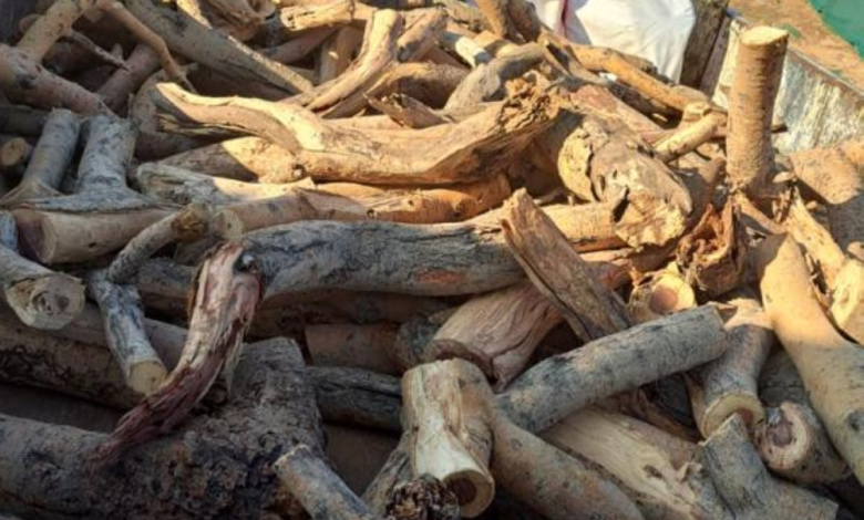 القوات الخاصة للأمن البيئي تضبط مخالفين في الرياض والمدينة