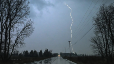 تحذيرات طقس السعودية: أمطار المدينة المنورة والباحة وسيول