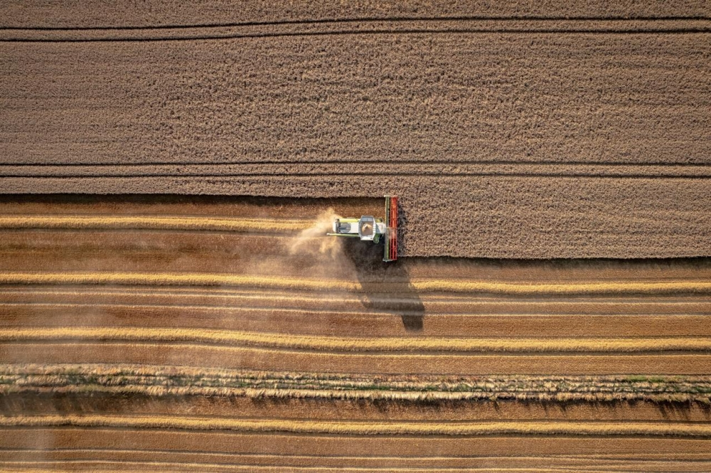 الزراعة وسلاسل الإمداد العالمية