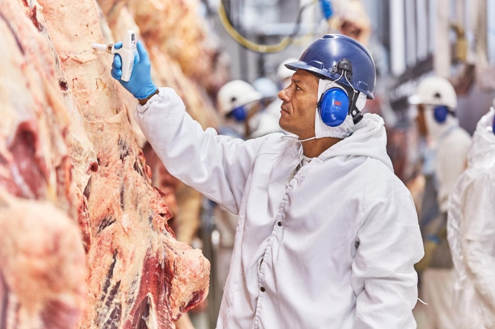 استثمارات سالك في الأمن الغذائي