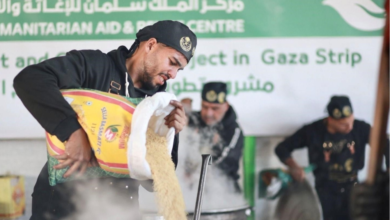 مركز الملك سلمان للإغاثة يوزع آلاف الوجبات في غزة