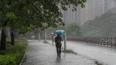 حالة الطقس في الباحة اليوم: أمطار رعدية وسيول حتى 9 مساءً