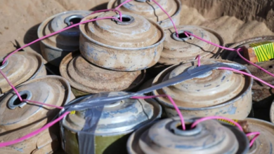 مشاريع المملكة لمكافحة الألغام بـ 294 مليون دولار