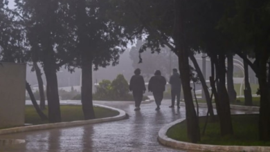 أمطار جازان والباحة: تفاصيل حالة الطقس في السعودية