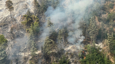 تلوث الهواء في تايلاند: إعلان 3 مقاطعات مناطق كوارث