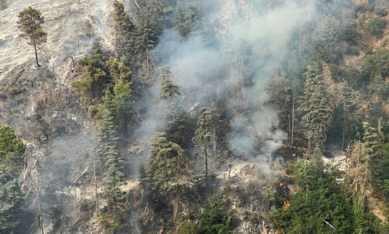 تلوث الهواء في تايلاند: إعلان 3 مقاطعات مناطق كوارث