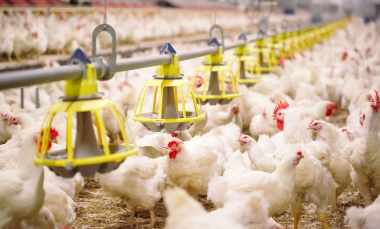 مركز وقاء: إطلاق 10 ملايين كائن حي لتعزيز الزراعة