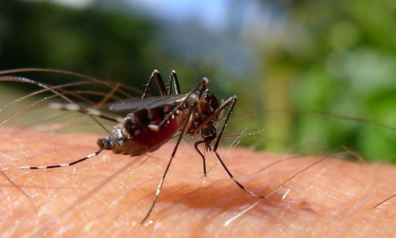 مركز وقاء ينفذ 172 ألف عملية لمكافحة نواقل الأمراض