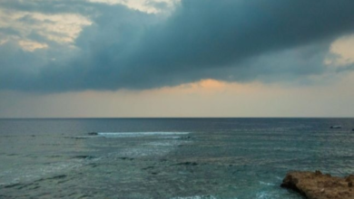 حالة الطقس في السعودية: أمطار غزيرة وسيول ورياح نشطة