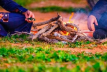 الأمن البيئي يضبط مخالفين في الرياض والشرقية والجوف