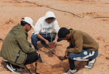 حملة تشجير محمية الملك خالد الملكية بمشاركة 200 متطوع