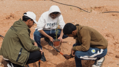 حملة تشجير محمية الملك خالد الملكية بمشاركة 200 متطوع