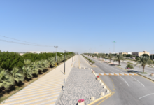 جهود بلدية مليجة: زراعة 40 ألف زهرة وإزالة التشوه البصري