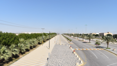 جهود بلدية مليجة: زراعة 40 ألف زهرة وإزالة التشوه البصري