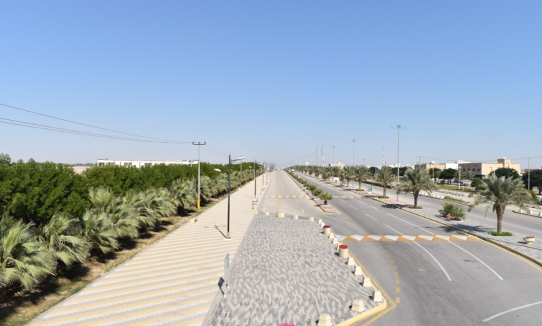 جهود بلدية مليجة: زراعة 40 ألف زهرة وإزالة التشوه البصري