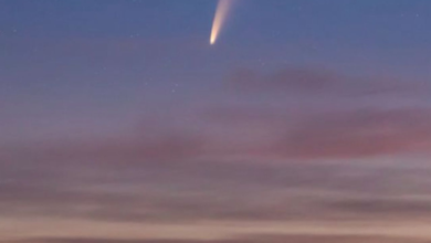 رصد مذنب PANSTARRS بالعين المجردة في أبريل: دليل شامل