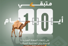 مهلة 10 أيام لإخراج الماشية السائبة من محمية الملك سلمان