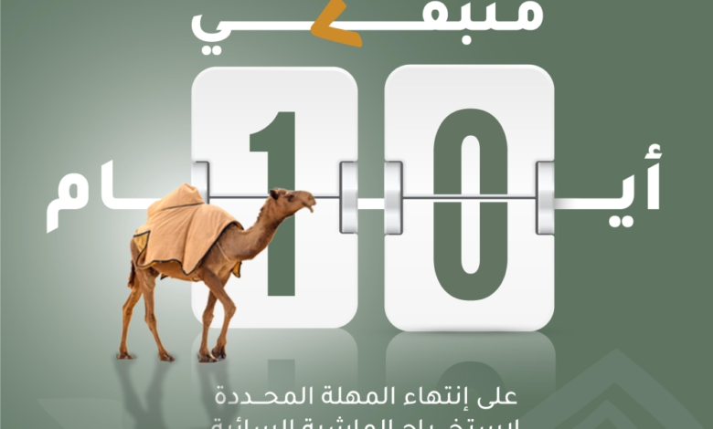 مهلة 10 أيام لإخراج الماشية السائبة من محمية الملك سلمان