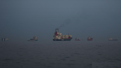 إيران تقيد الملاحة في مضيق هرمز: 15 سفينة يومياً فقط