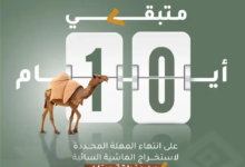 محمية الملك سلمان تمنح مهلة لإخراج المواشي من عرنان