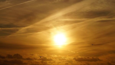 أوروبا تسجل ثاني أدفأ شهر مارس: تأثير التغير المناخي