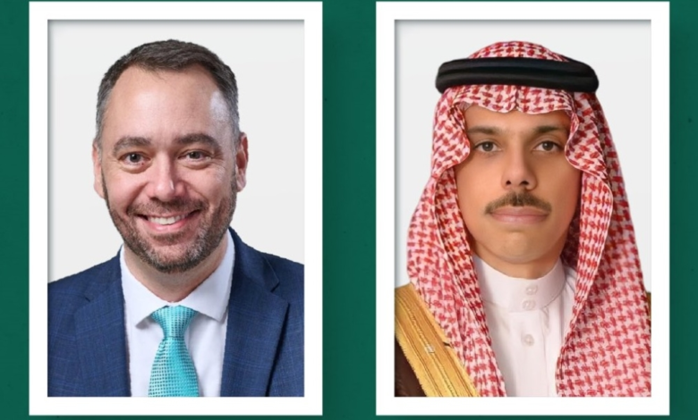 وزير الخارجية يبحث التطورات الإقليمية مع نظيره البلجيكي