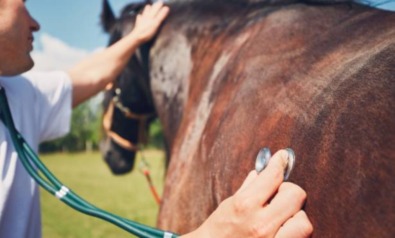مركز وقاء: 5 آلاف زيارة لتعزيز رصد الأمراض الحيوانية